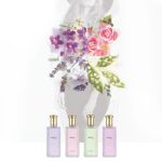 عطر ادکلن اِپریل وایولتس کانتِمپِرِری اِدیشِن یاردلی - April Violets Contemporary Edition Yardley - بررسی، قیمت و خرید