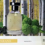 عطر ادکلن پاراناً بویز 1920 - Parana Bois 1920 - بررسی، قیمت و خرید