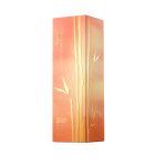 عطر ادکلن بامبو رادیانت ادیشن موژر آدولفو دومینگز - Bambú Radiant Edition Mujer Adolfo Dominguez - بررسی، قیمت و خرید