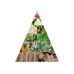 عطر ادکلن پاین تری وِتیوِر بروومه - Pine Tree + Vetiver Brûmée - بررسی، قیمت و خرید