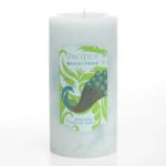 عطر ادکلن وایکی‌کی پیکاکه پسیفیکا - Waikiki Pikake Pacifica - بررسی، قیمت و خرید
