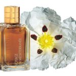 عطر ادکلن لابدانوم د سویل لوکسیتان - Labdanum de Seville L'Occitane en Provence - بررسی، قیمت و خرید
