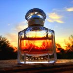 عطر ادکلن مان گرلان سنسوال گرلن - Mon Guerlain Sensuelle Guerlain - بررسی، قیمت و خرید
