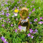 عطر ادکلن لامور اِس ۱۴۲ او یو آی - L’Amour-Esse 142 O.U.i Original Unique Individual - بررسی، قیمت و خرید