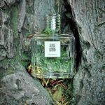 عطر ادکلن لو د آرموآز سرژ لوتنس - L'Eau d'Armoise Serge Lutens - بررسی، قیمت و خرید