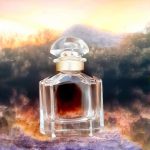 عطر ادکلن مان گرلان سنسوال گرلن - Mon Guerlain Sensuelle Guerlain - بررسی، قیمت و خرید
