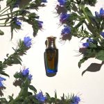 عطر ادکلن کارمن ویکتوریا اند لوچینو - Carmen Victorio & Lucchino - بررسی، قیمت و خرید