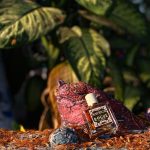 عطر ادکلن جَسمین آنتیک روگ پرفیومری - Jasmin Antique Rogue Perfumery - بررسی، قیمت و خرید