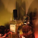 عطر ادکلن استیل جنیفر لوپز - Still Jennifer Lopez - بررسی، قیمت و خرید