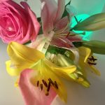عطر ادکلن رز د مای پریس مونته کارلو - Rose De Mai Perris Monte Carlo - بررسی، قیمت و خرید