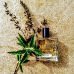 عطر ادکلن لاپلوی میلل هریس - La Pluie Miller Harris - بررسی، قیمت و خرید
