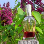 عطر ادکلن ریگاس سرینی دزینتارس - Rigas Cerini (Рижская Сирень, 2000) Dzintars - بررسی، قیمت و خرید