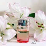 عطر ادکلن بیزر وله او دو پارفوم فرش کارتیر - Baiser Volé Eau de Parfum Fraîche Cartier - بررسی، قیمت و خرید