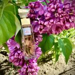 عطر ادکلن فیفت اونیو الیزابت آردن - 5th Avenue Elizabeth Arden - بررسی، قیمت و خرید