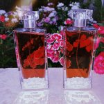 عطر ادکلن الکسیر چارنل اورینتال برولان گرلن - Elixir Charnel Oriental Brulant Guerlain - بررسی، قیمت و خرید