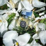 عطر ادکلن ژاردن دو ژیورنی آرته پروفومی - Jardin de Giverny Arte Profumi - بررسی، قیمت و خرید