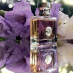 عطر ادکلن ورساچه پوره فم ورساچه - Versace Pour Femme Versace - بررسی، قیمت و خرید