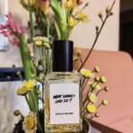 عطر ادکلن وات وود لاو دو لاش - What Would Love Do Lush - بررسی، قیمت و خرید