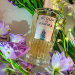 عطر ادکلن آکوا نوبیله جِلسومینو آکوا دی پارما - Acqua Nobile Gelsomino Acqua di Parma - بررسی، قیمت و خرید