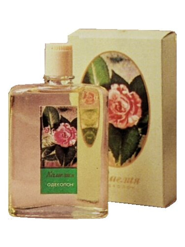 عطر ادکلن کاملیا نووایا زاریا - Камелия Новая Заря (The New Dawn) - بررسی، قیمت و خرید