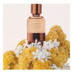 عطر ادکلن سوگنو نوتورنو برونلو کوچینلی - Sogno Notturno Brunello Cucinelli - بررسی، قیمت و خرید
