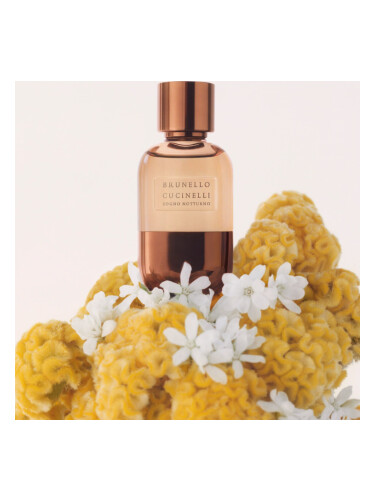عطر ادکلن سوگنو نوتورنو برونلو کوچینلی - Sogno Notturno Brunello Cucinelli - بررسی، قیمت و خرید