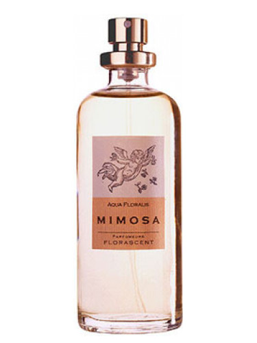 عطر ادکلن میموسا فلوراسنت - Mimosa Florascent - بررسی، قیمت و خرید