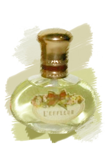 عطر ادکلن لفلور کوتی - l'Effleur Coty - بررسی، قیمت و خرید