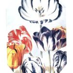 عطر ادکلن پرینت کالکشن استلا ۰۲ (۲۰۱۱) استلا مک‌کارتنی - Print Collection Stella 02 (2011) Stella McCartney - بررسی، قیمت و خرید