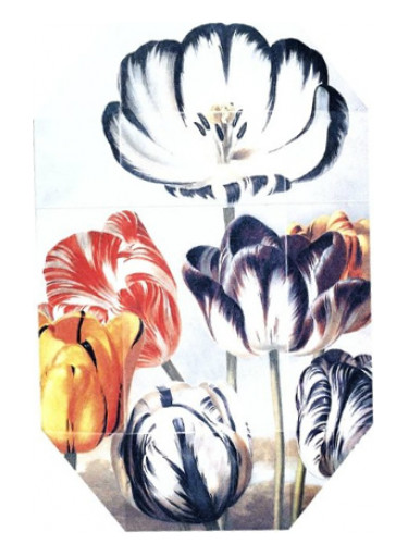 عطر ادکلن پرینت کالکشن استلا ۰۲ (۲۰۱۱) استلا مک‌کارتنی - Print Collection Stella 02 (2011) Stella McCartney - بررسی، قیمت و خرید