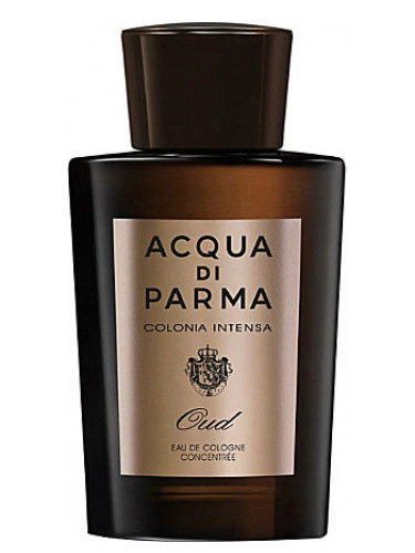عطر ادکلن کولونیا اینتنسا عود او دو کلن کنسانتره آکوا دی پارما - Colonia Intensa Oud Eau de Cologne Concentree Acqua di Parma - بررسی، قیمت و خرید