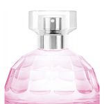 عطر ادکلن اطلس مونتین رز د بادی شاپ - Atlas Mountain Rose The Body Shop - بررسی، قیمت و خرید