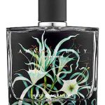 عطر ادکلن آمازون لیلی نست - Amazon Lily Nest - بررسی، قیمت و خرید