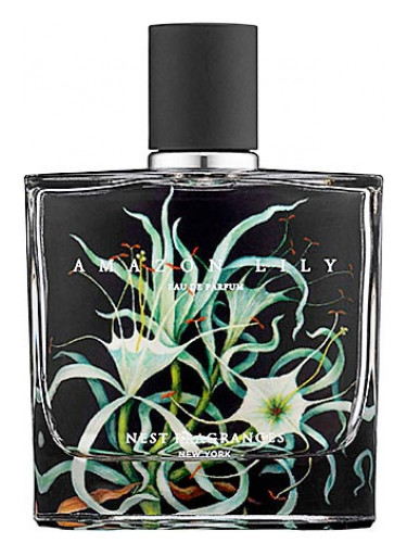 عطر ادکلن آمازون لیلی نست - Amazon Lily Nest - بررسی، قیمت و خرید