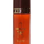 عطر ادکلن ام‌سی‌ام اوبلیسک ام سی ام - MCM Obelisk MCM - Mode Creation Munich - بررسی، قیمت و خرید