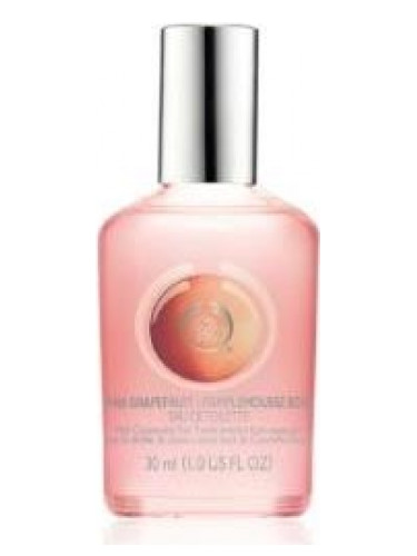 عطر ادکلن پینک گریپ فروت د بادی شاپ - Pink Grapefruit The Body Shop - بررسی، قیمت و خرید