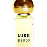 عطر ادکلن بی اس صفر صفر سه لورک - BS 003 Lurk - بررسی، قیمت و خرید