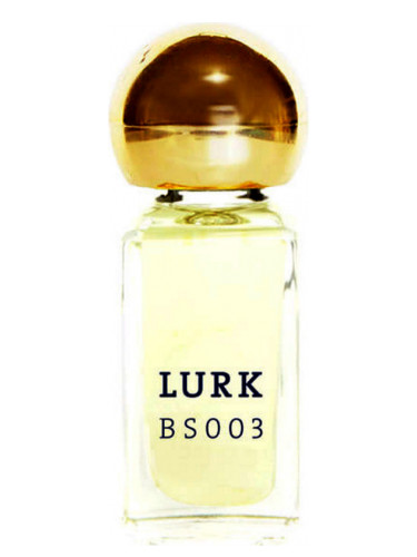 عطر ادکلن بی اس صفر صفر سه لورک - BS 003 Lurk - بررسی، قیمت و خرید