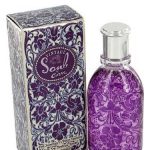 عطر ادکلن کرو سول وینتیج لیز کلایبورن - Curve Soul Vintage Liz Claiborne - بررسی، قیمت و خرید