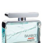 عطر ادکلن بمبو آمریکا فرانک اولیویه - Bamboo America Franck Olivier - بررسی، قیمت و خرید