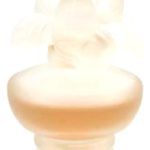 عطر ادکلن رز نواژ پوپا - Rose Nuage Pupa - بررسی، قیمت و خرید