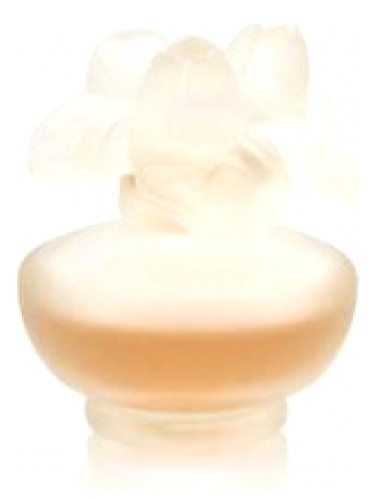 عطر ادکلن رز نواژ پوپا - Rose Nuage Pupa - بررسی، قیمت و خرید