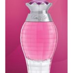 عطر ادکلن دیلایت سوئیس عربین - Delight Swiss Arabian - بررسی، قیمت و خرید
