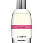عطر ادکلن لاواند کاندورا - Lavande Candora - بررسی، قیمت و خرید