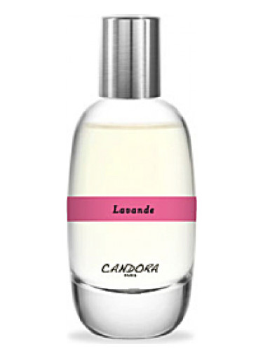 عطر ادکلن لاواند کاندورا - Lavande Candora - بررسی، قیمت و خرید