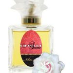 عطر ادکلن نیکیتا لاو گای بوشارا - Nikita Love Guy Bouchara - بررسی، قیمت و خرید