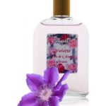 عطر ادکلن اُ دو کلون ویولت گای بشارا - Eau de Cologne Violette Guy Bouchara - بررسی، قیمت و خرید