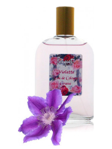 عطر ادکلن اُ دو کلون ویولت گای بشارا - Eau de Cologne Violette Guy Bouchara - بررسی، قیمت و خرید