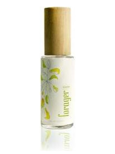عطر ادکلن بلوم فورجر بوتانیکالز - Bloom Forager Botanicals - بررسی، قیمت و خرید