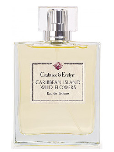 عطر ادکلن جزایر کارائیب، گل‌های وحشی کرابتری اند ایولین - Caribbean Island Wild Flowers Crabtree & Evelyn - بررسی، قیمت و خرید